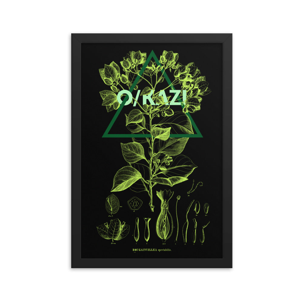 Geometry of Flora - Black 0.9