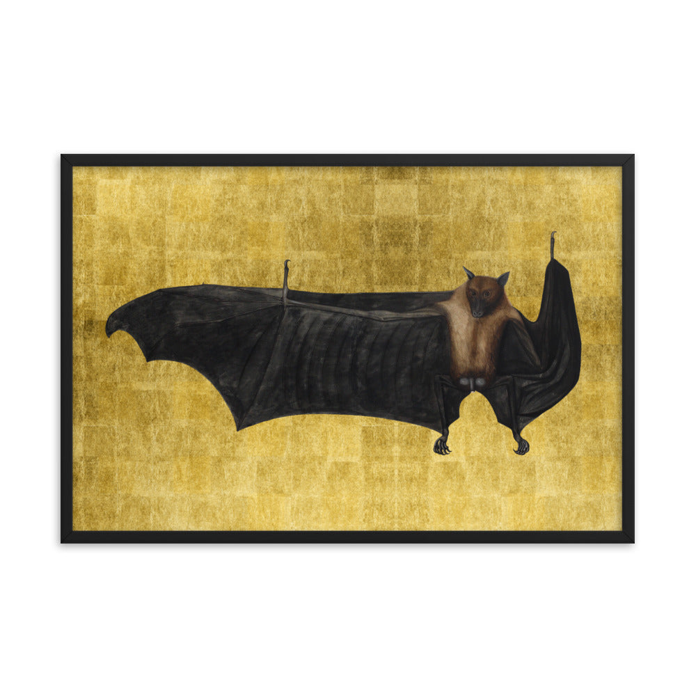 Urban O/kazi - Bat