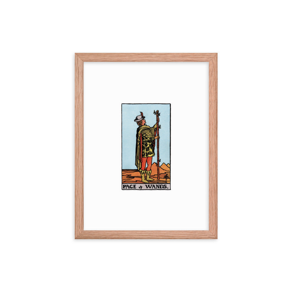 Tarot: Rider-Waite / Page of Wands