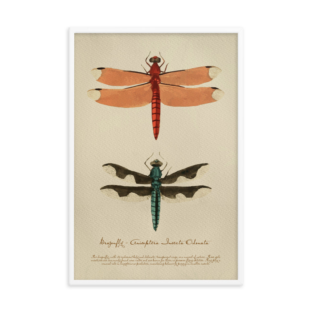 Insects - Dragonfly 0.3