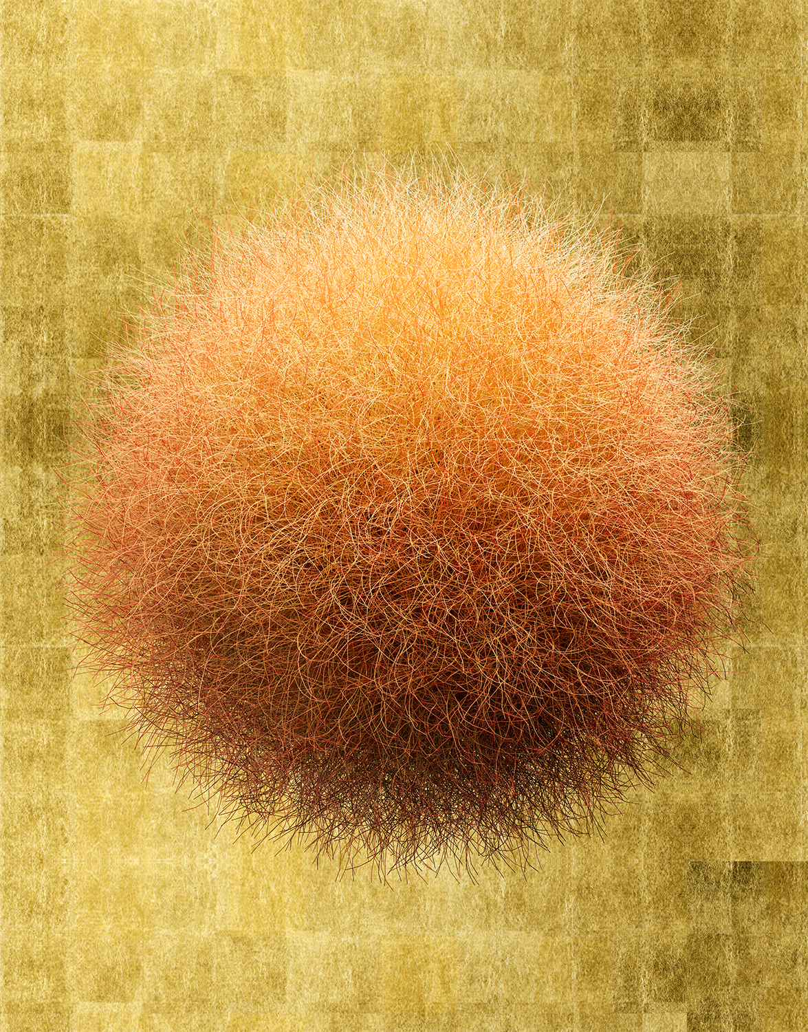 Gold Fur 01