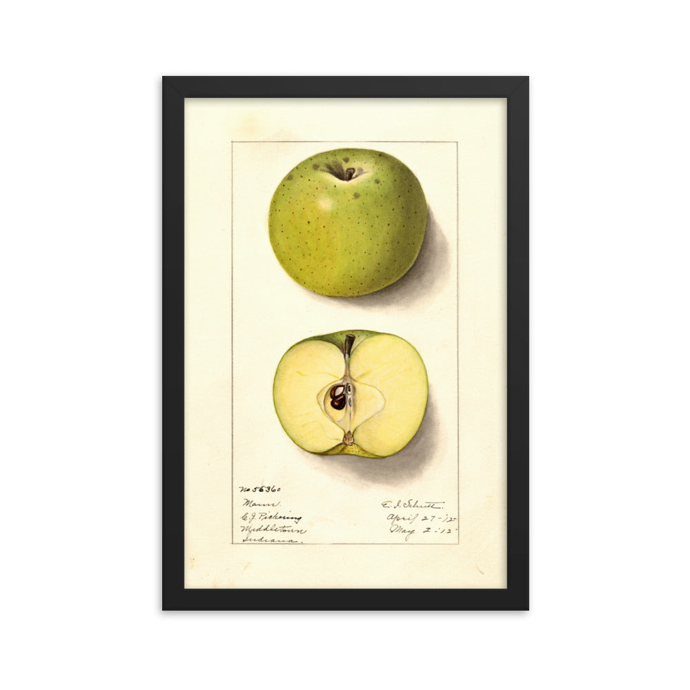 Botanicals - Green apple
