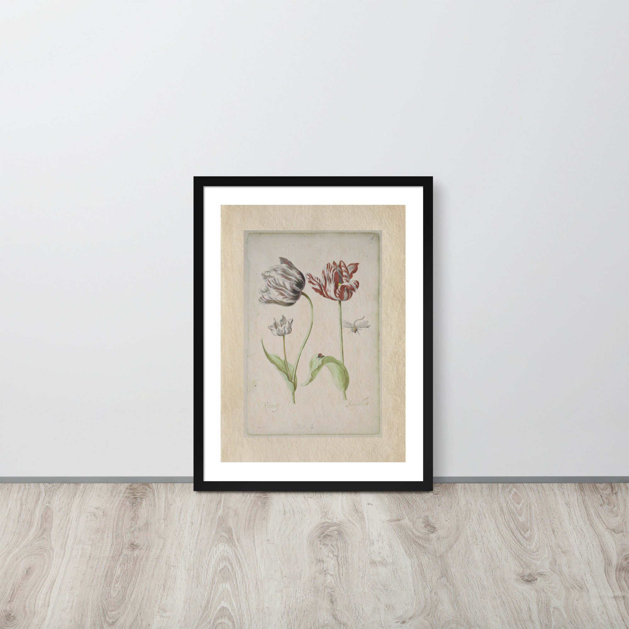 Botanicals - 0.18