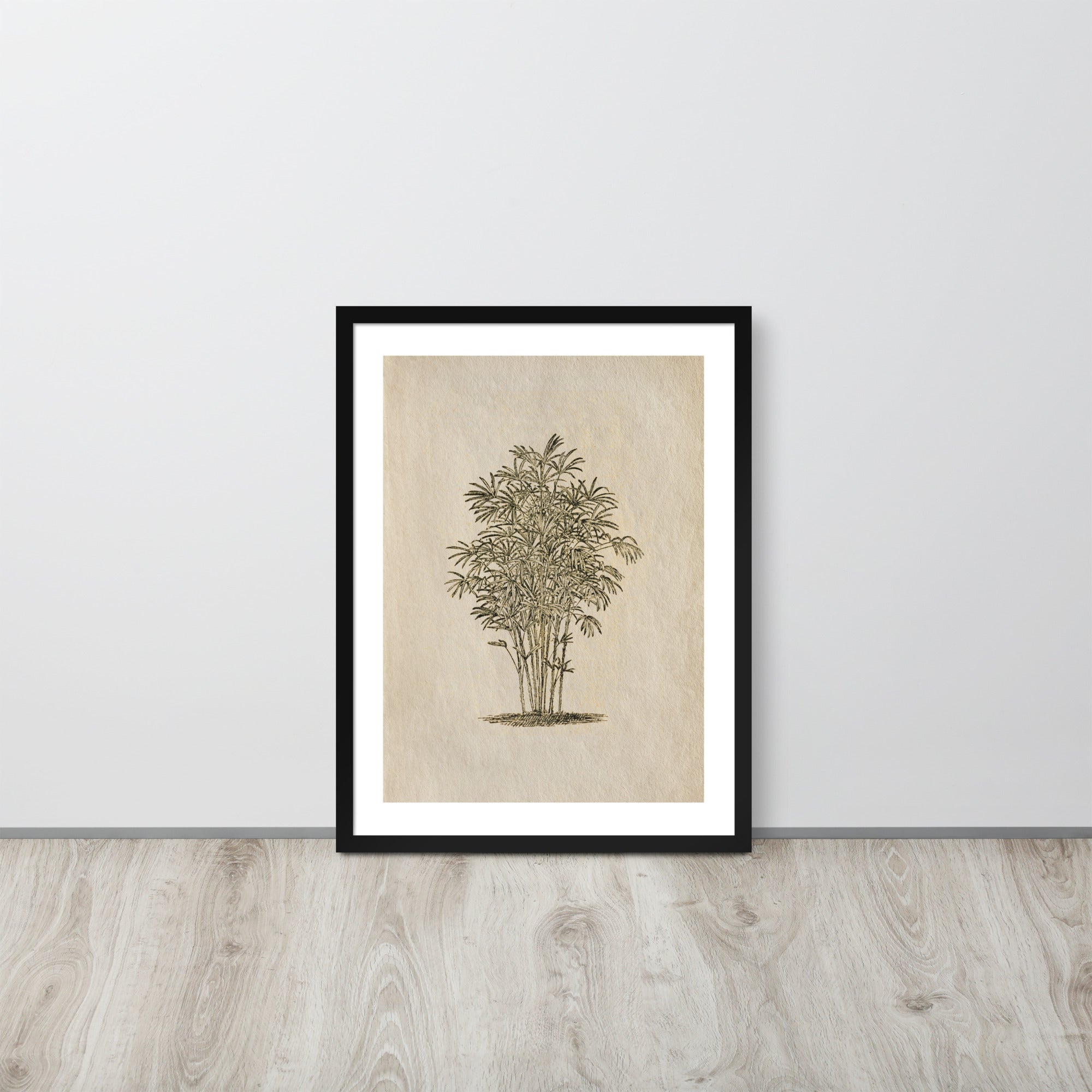 Botanicals - 0.36