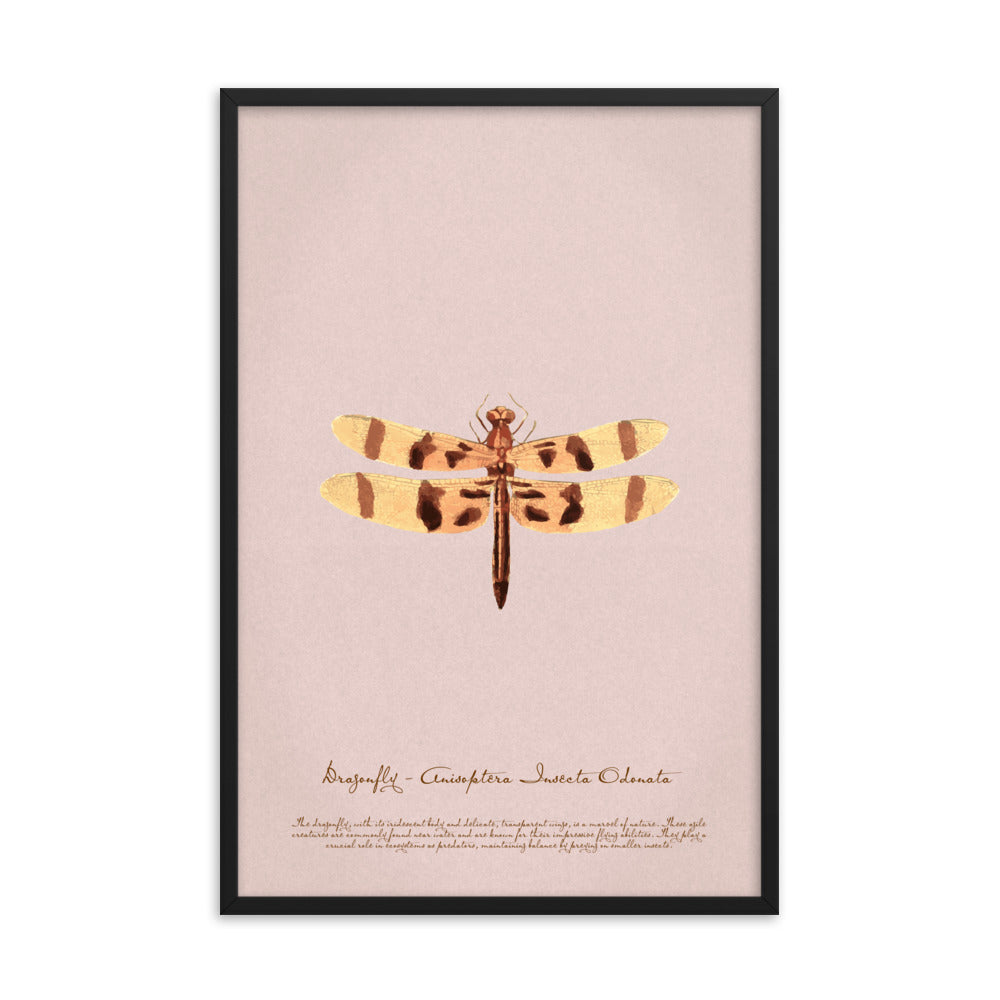 Insects - Dragonfly 0.6