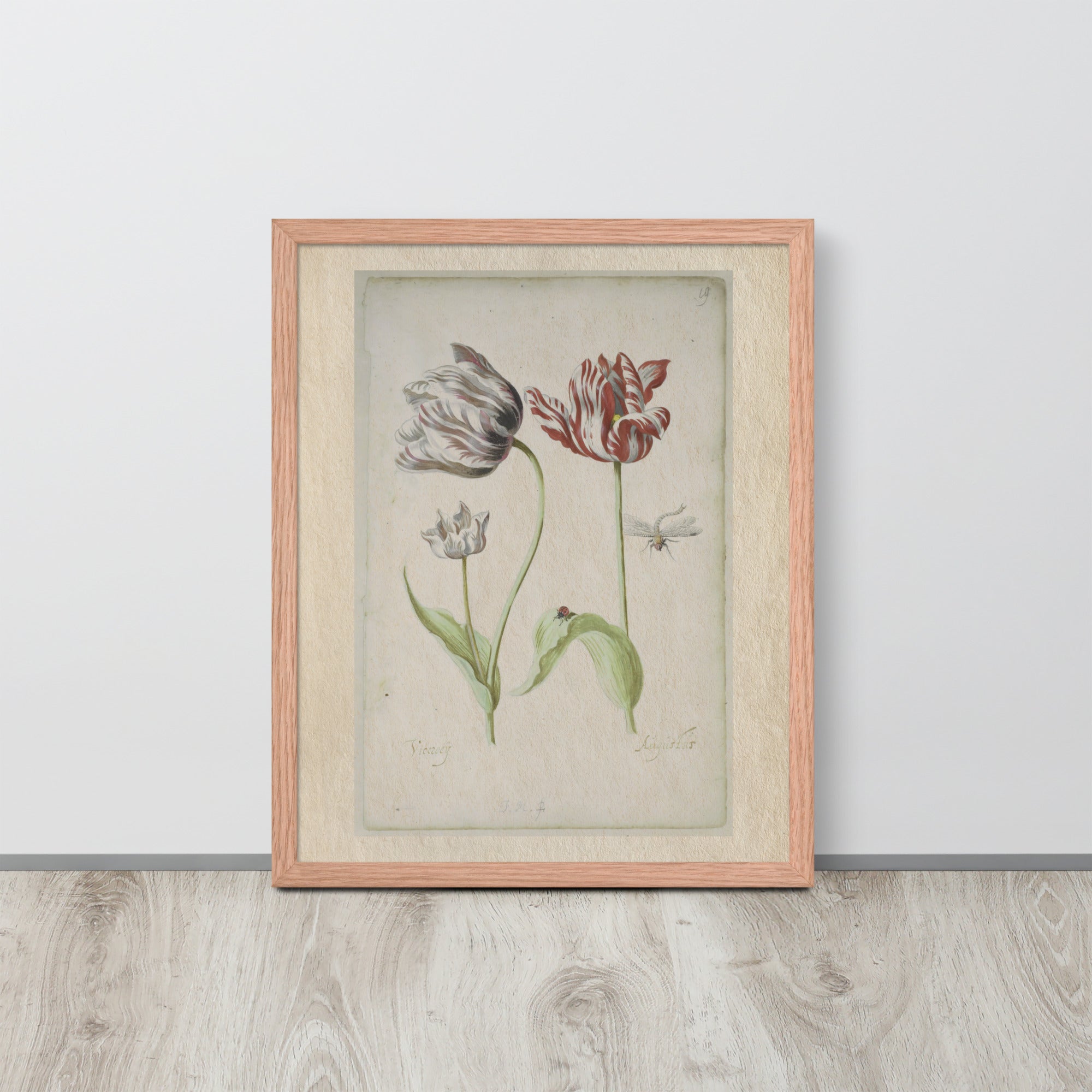 Botanicals - 0.18