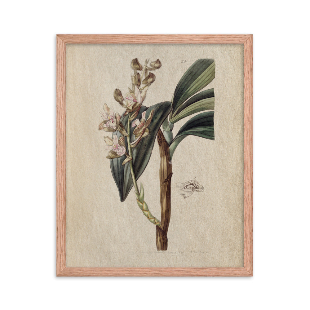 Botanical - 0.4