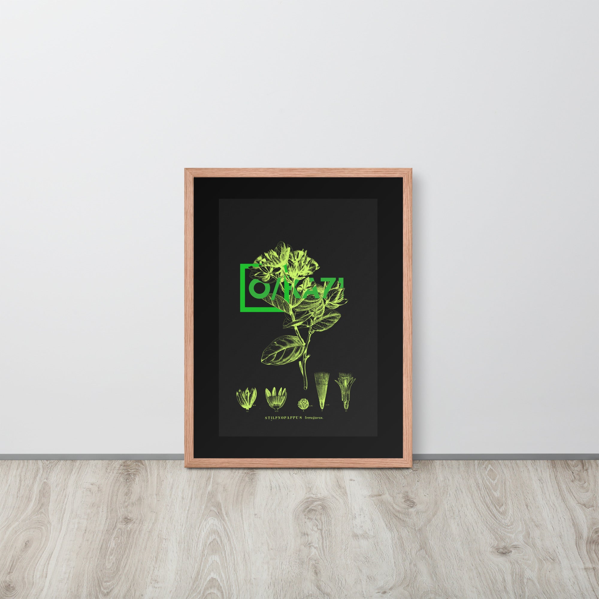 Geometry of Flora - Black 0.1