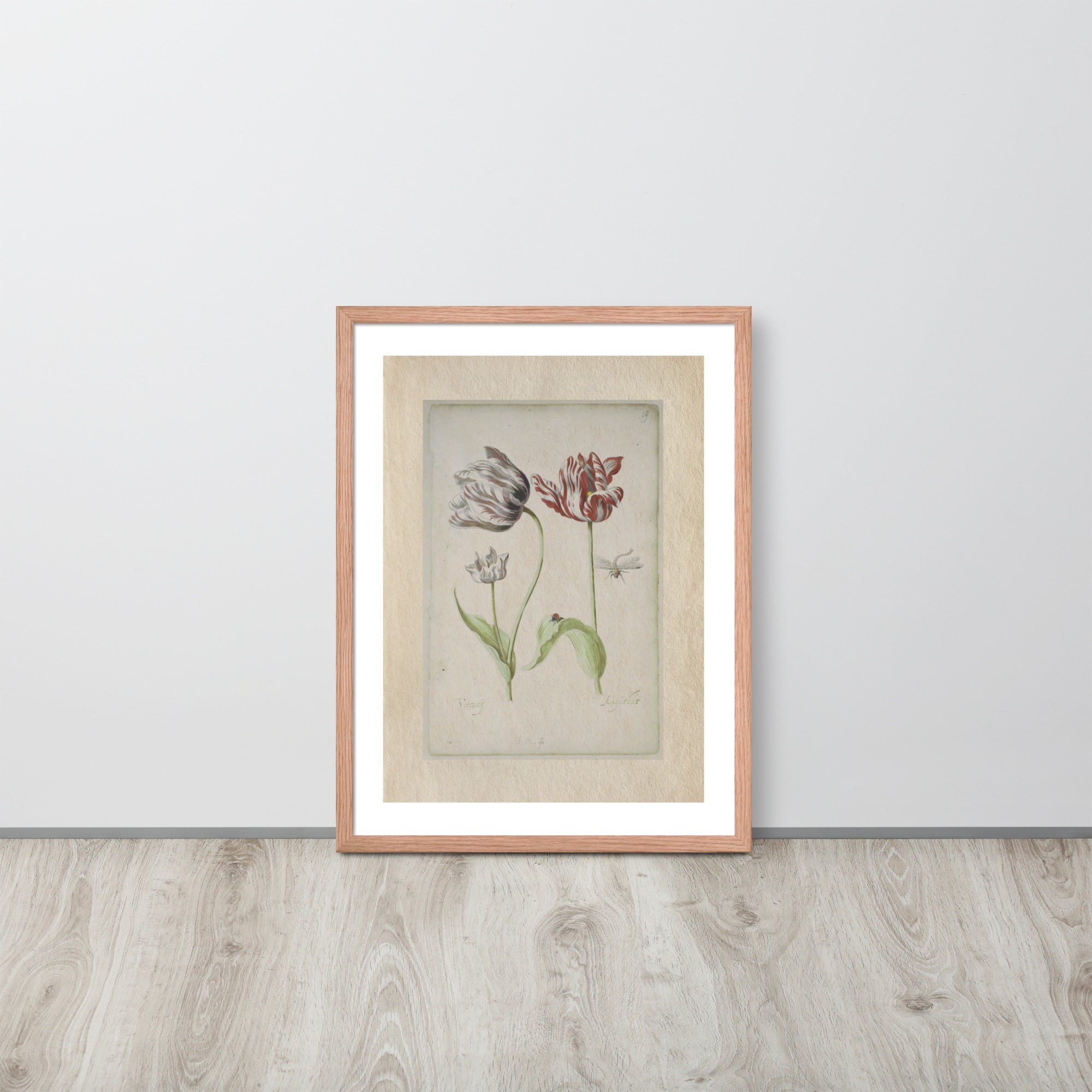 Botanicals - 0.18