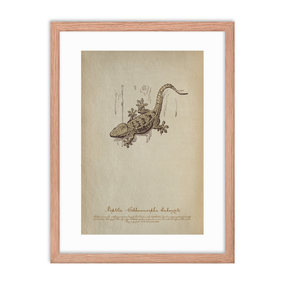 Insects - Gecko 0.2
