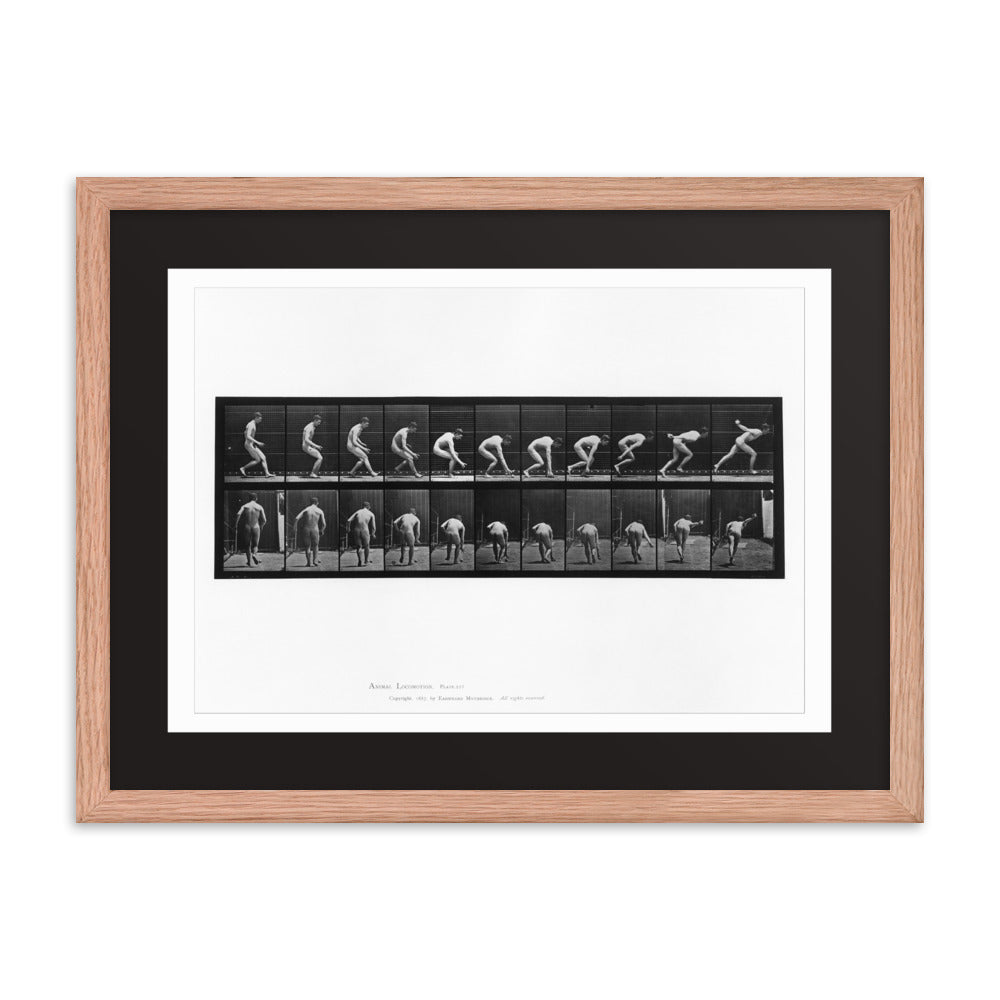 Animal Locomotion Plate 287
