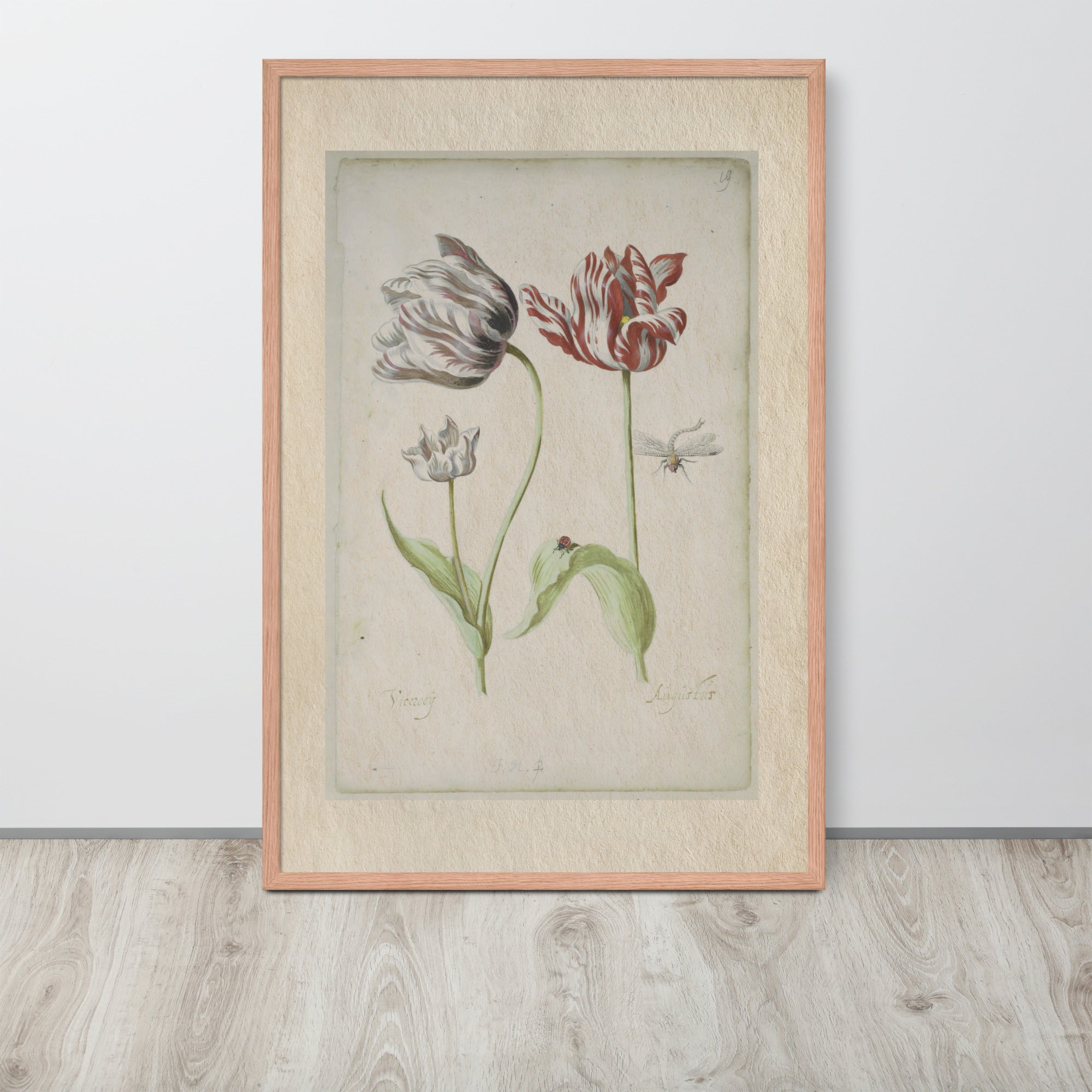 Botanicals - 0.18