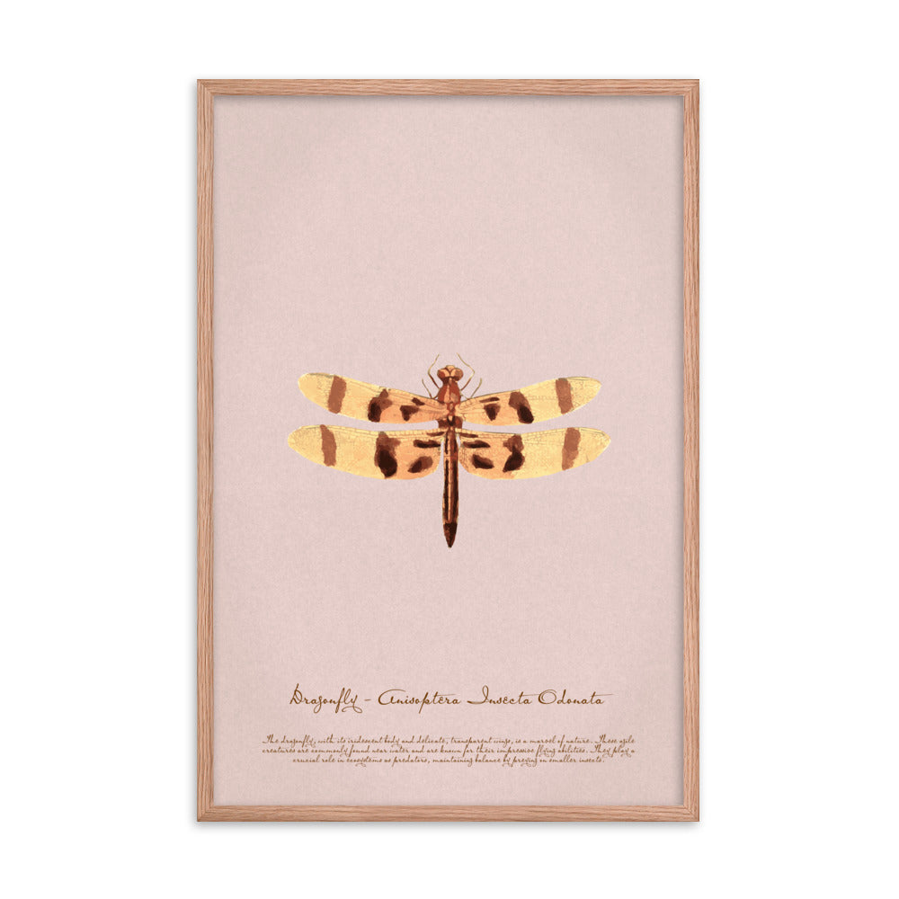 Insects - Dragonfly 0.6