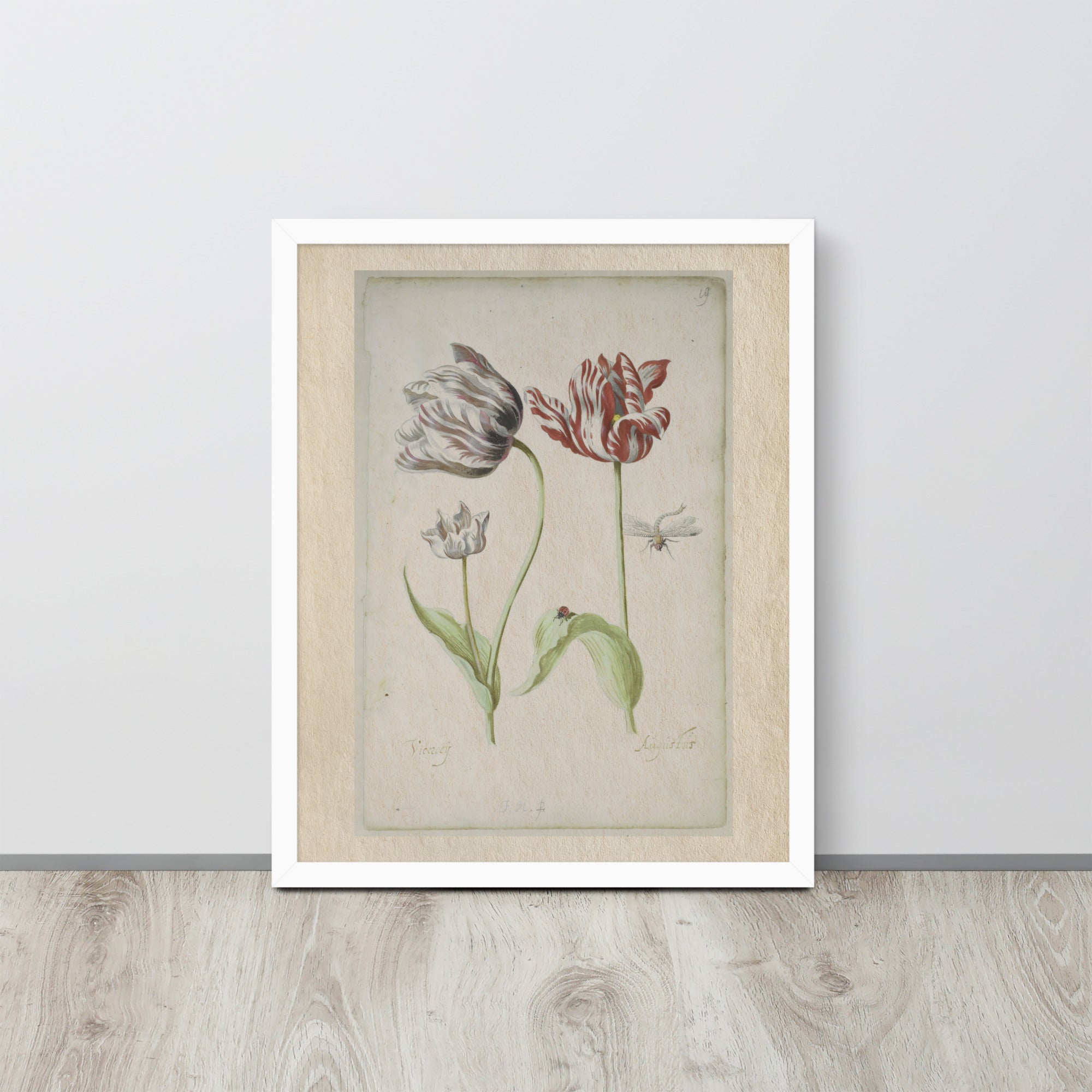 Botanicals - 0.18