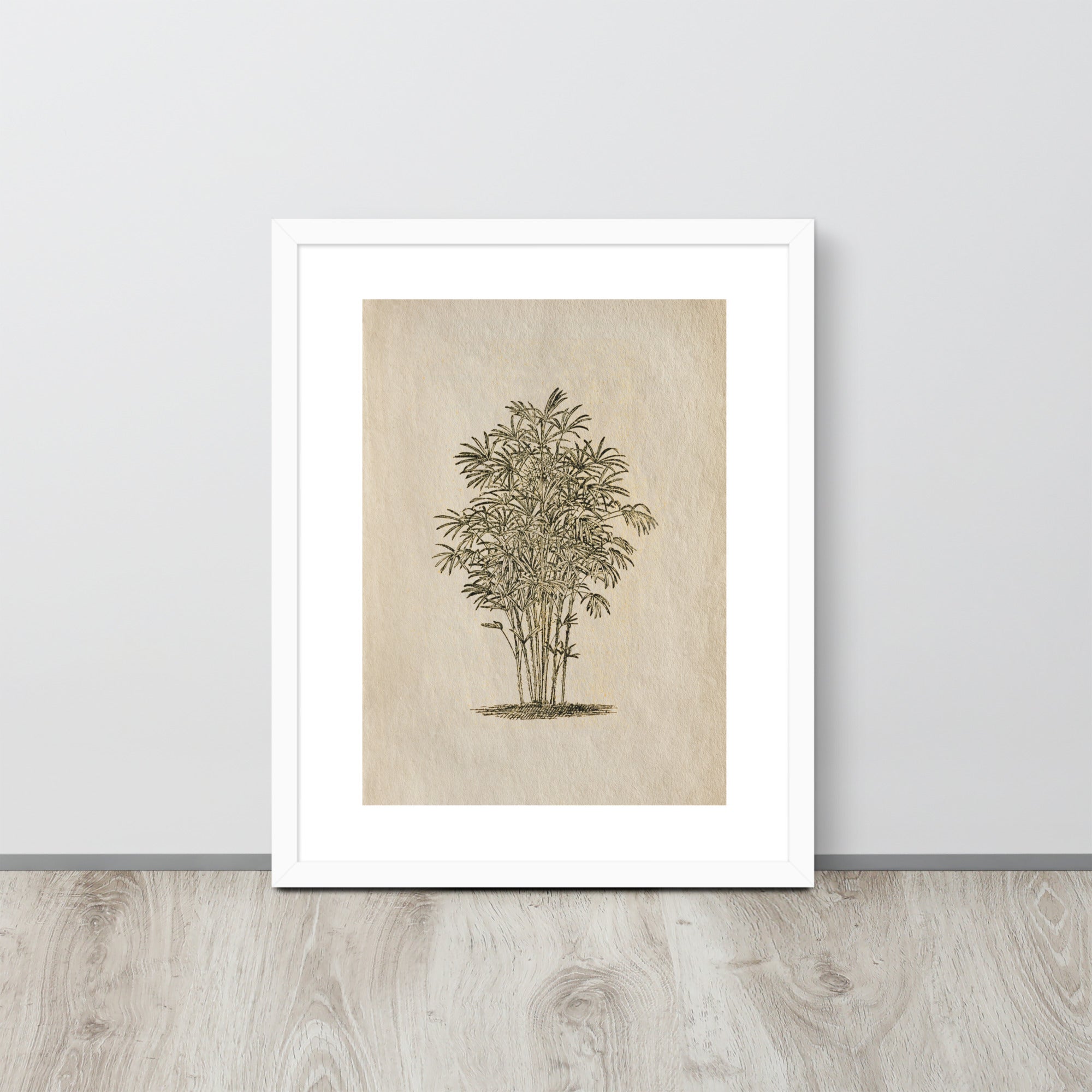 Botanicals - 0.36