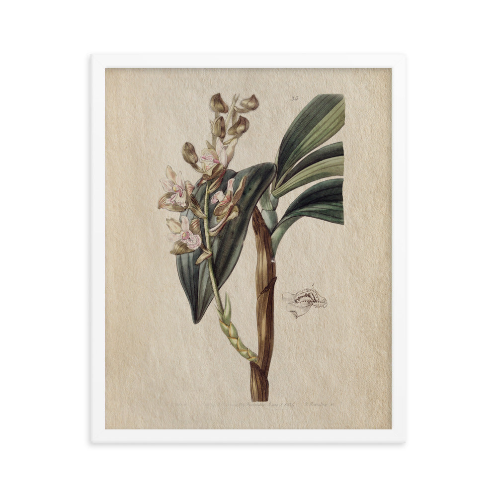 Botanical - 0.4