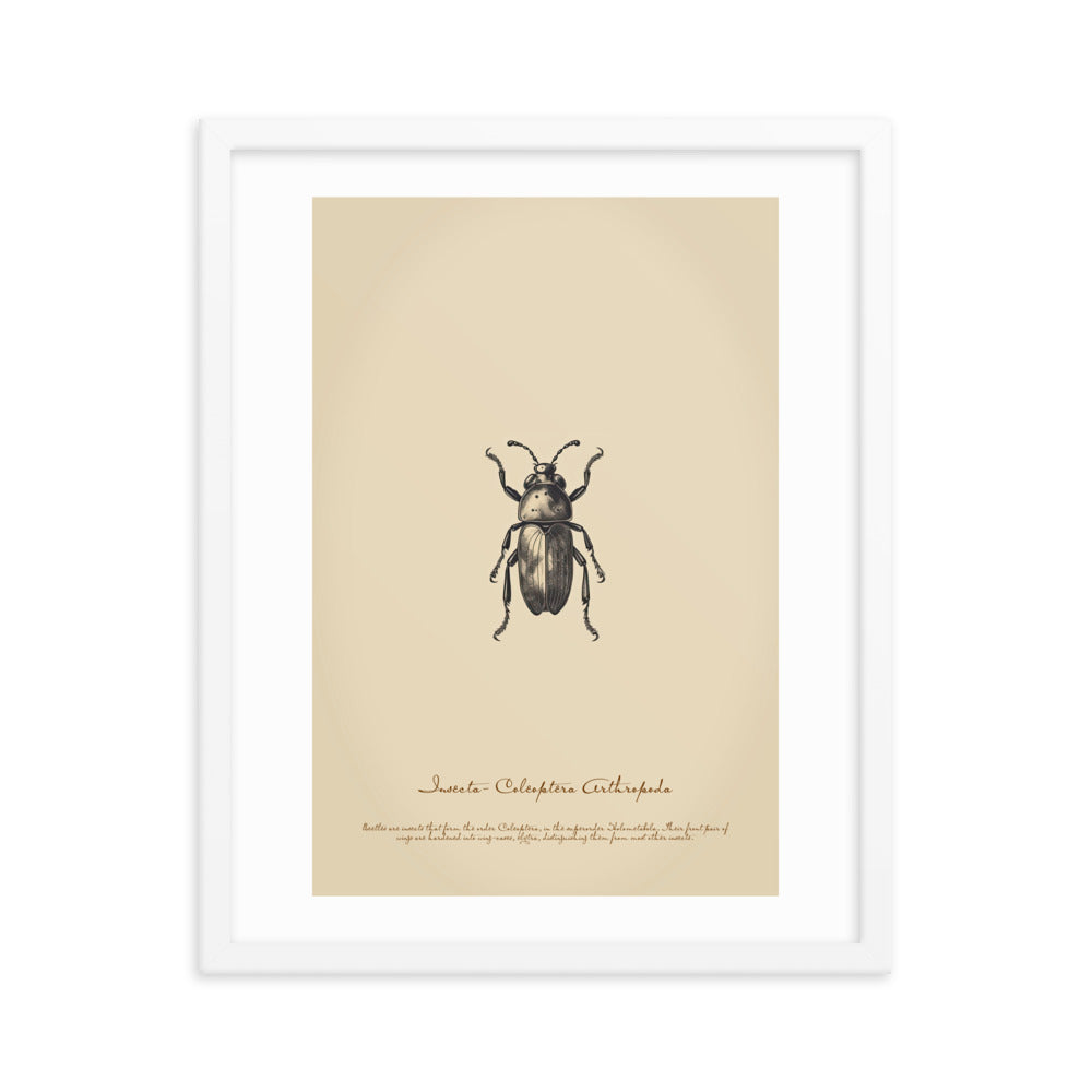 Insects - Bug 4