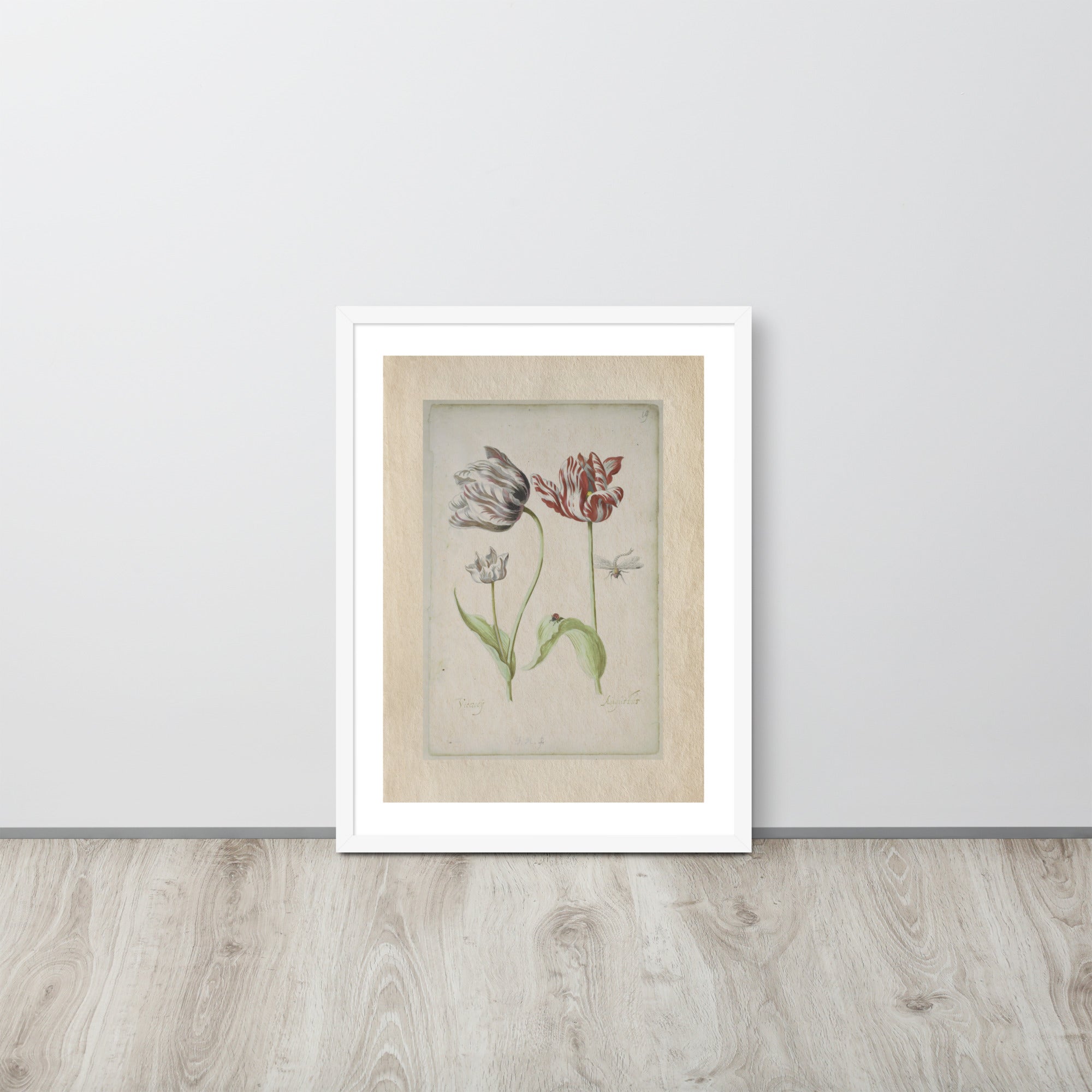Botanicals - 0.18