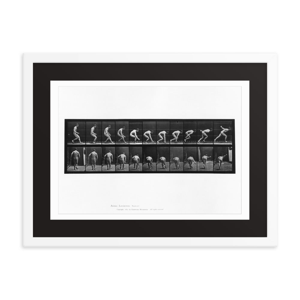 Animal Locomotion Plate 287
