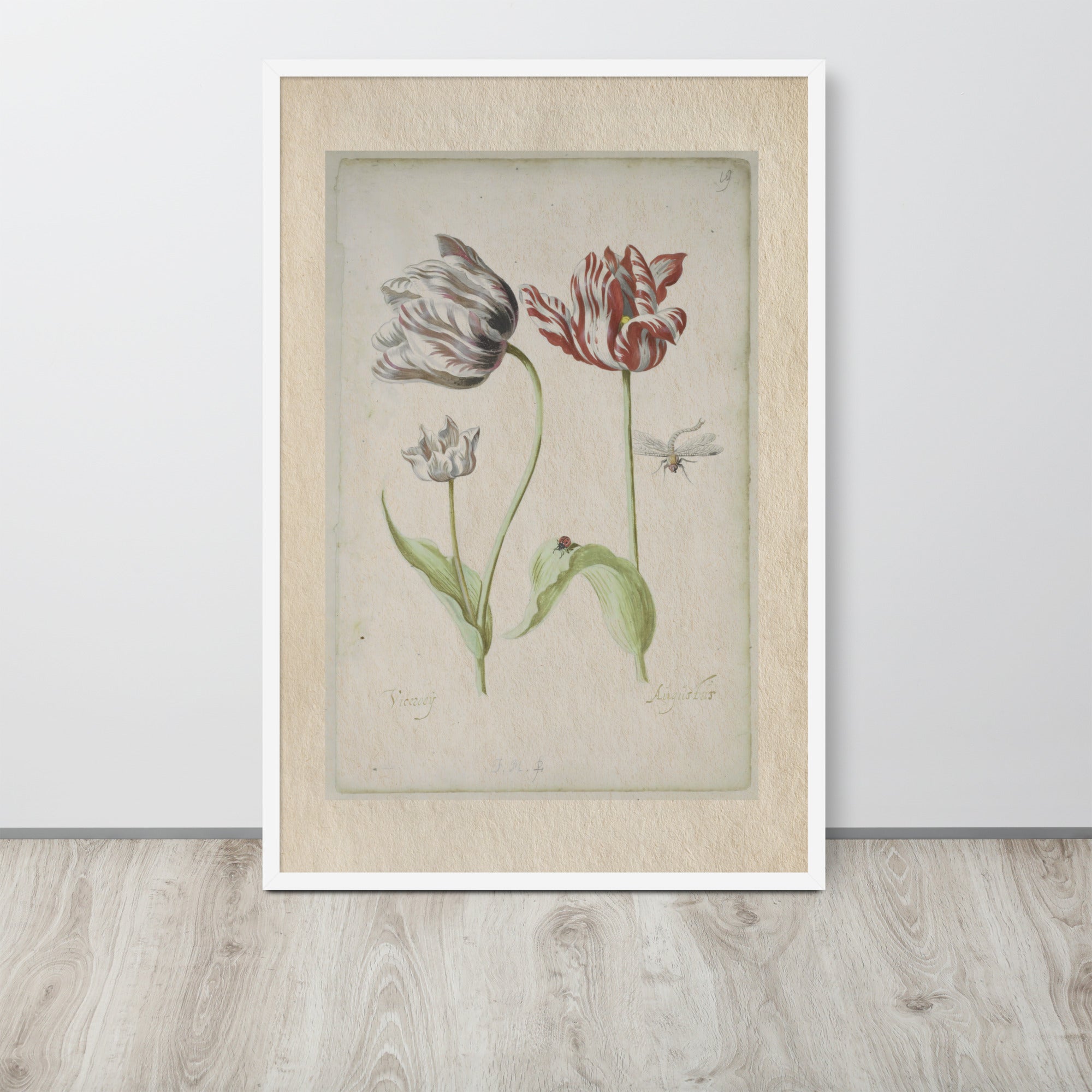 Botanicals - 0.18