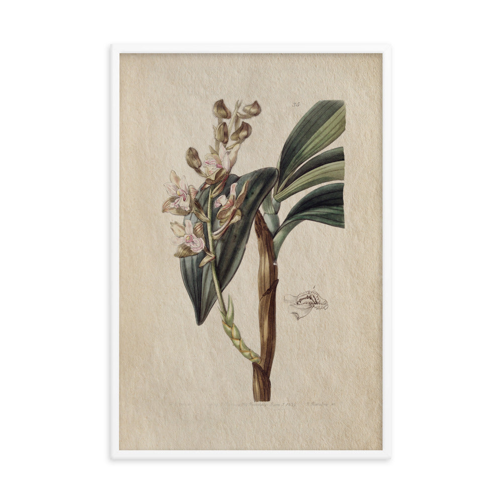 Botanical - 0.4